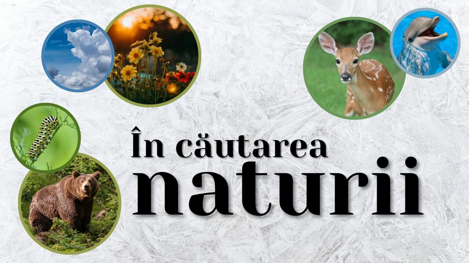 Lumina Trece Prin Ea Devoțional Explo Devoționale Ro