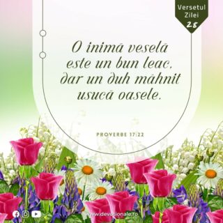 Versetul zilei:
„O inimă veselă este un bun leac, dar un duh mâhnit usucă oasele” Proverbe 17:22

Citește Devoționalul de astăzi și multe alte meditații biblice pe https://devotionale.ro

#devotional #devotionale #versetulzilei #Biblia #Dumnezeu #crestin #unversetpentrutine #versetedeincurajare #credinta #versetulbiblic #Bibliazidezi #versetecrestine #sfatdivin #Bibleverse #Biblewisdom