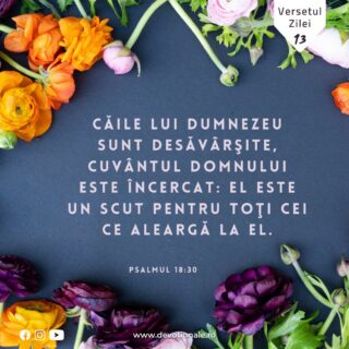 Versetul zilei:
„Căile lui Dumnezeu sunt desăvârşite, cuvântul Domnului este încercat: El este un scut pentru toţi cei ce aleargă la El.” Psalmul 18:30

Citește Devoționalul de astăzi și multe alte meditații biblice pe https://devotionale.ro

#devotional #devotionale #versetulzilei #Biblia #Dumnezeu #crestin #unversetpentrutine #versetedeincurajare #credinta #versetulbiblic #Bibliazidezi #versetecrestine #sfatdivin #Bibleverse #Biblewisdom