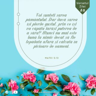 Versetul zilei:
„Voi sunteţi sarea pământului. Dar dacă sarea îşi pierde gustul, prin ce îşi va căpăta iarăşi puterea de a săra? Atunci nu mai este bună la nimic decât să fie lepădată afară şi călcată în picioare de oameni.” Eclesiastul 4:12

Citește Devoționalul de astăzi și multe alte meditații biblice pe https://devotionale.ro

#devotional #devotionale #versetulzilei #Biblia #Dumnezeu #crestin #unversetpentrutine #versetedeincurajare #credinta #versetulbiblic #Bibliazidezi #versetecrestine #sfatdivin #Bibleverse #Biblewisdom